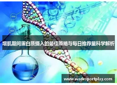 增肌期间蛋白质摄入的最佳策略与每日推荐量科学解析