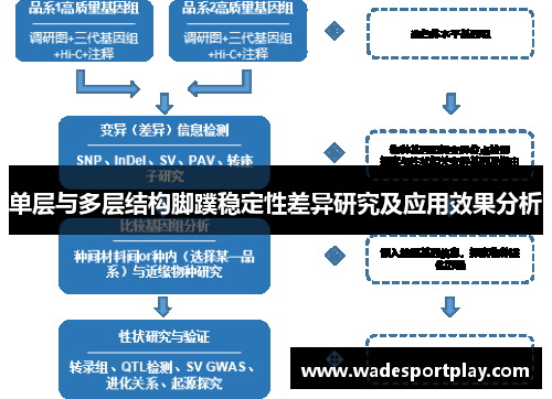 单层与多层结构脚蹼稳定性差异研究及应用效果分析