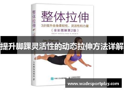 提升脚踝灵活性的动态拉伸方法详解