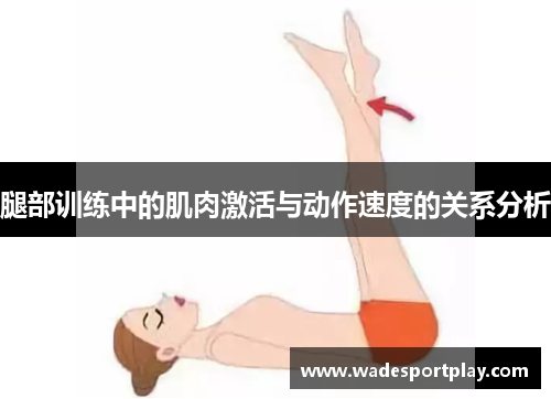腿部训练中的肌肉激活与动作速度的关系分析